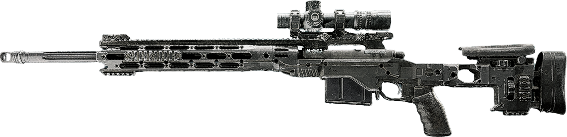 M2010 ESR