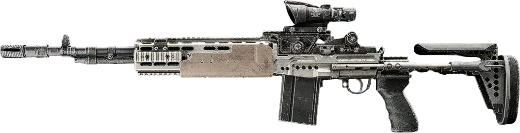 M39 EMR