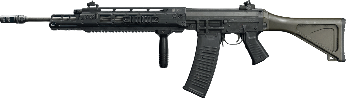 SWAT 5.56 Custom